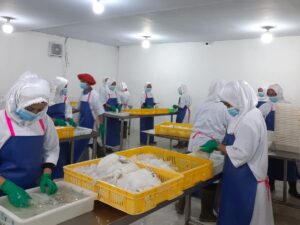 Seafood Supplier Processing Areas